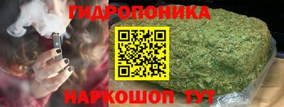ПСИЛОЦИБИНОВЫЕ ГРИБЫ Гагарин